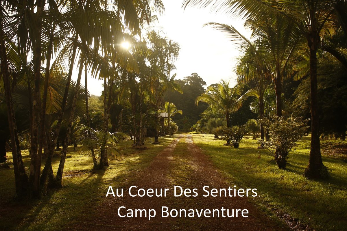 Autres photos