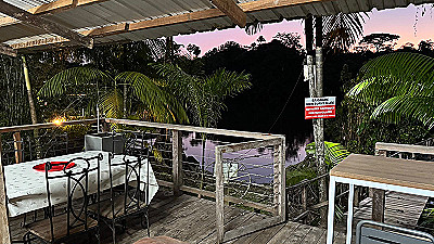 Petit Palm – photo 9