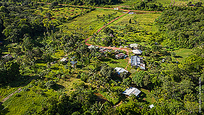 Village nature les balisiers – photo 4