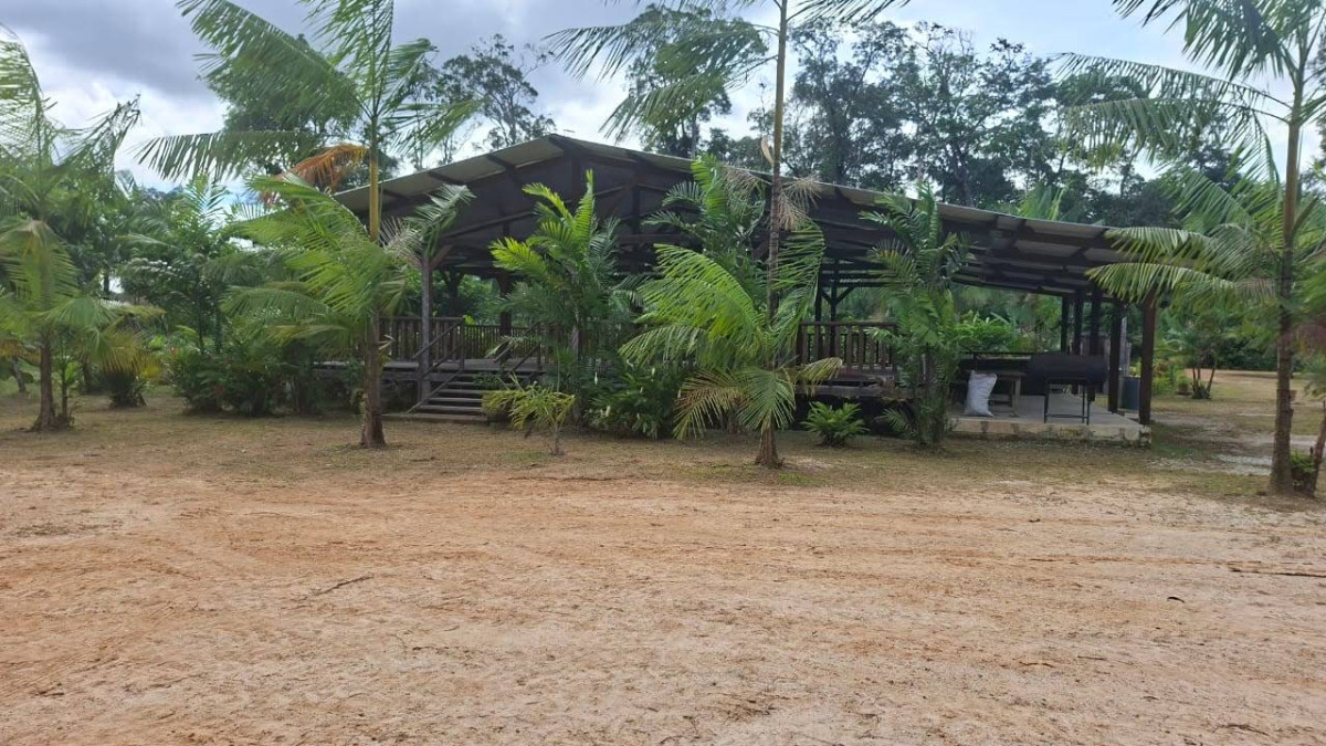 Carbet Amazonie AçaÏ