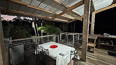 Petit Palm – photo 13