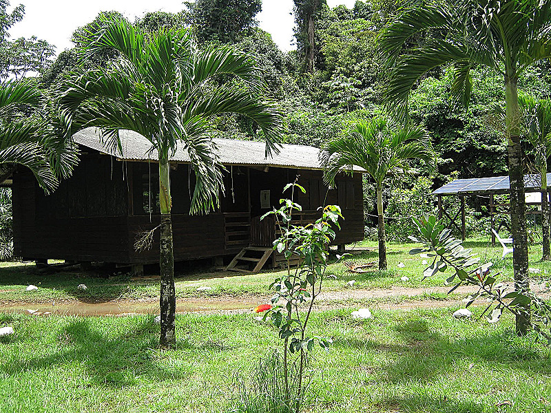 Photo 5