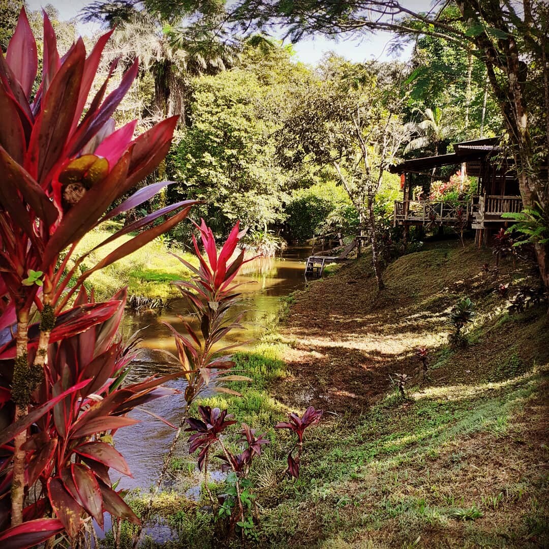 Autres photos